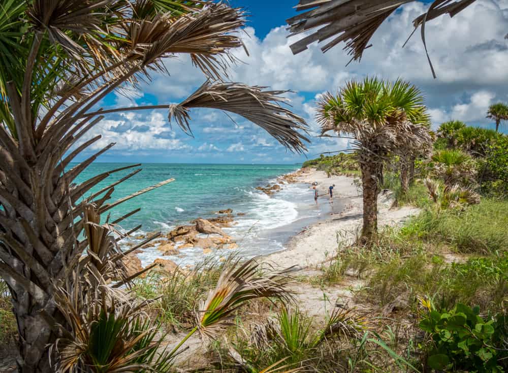 Looking through green foliage down at the rocky Caspersen Beach, one of the coolest beaches in Florida.
