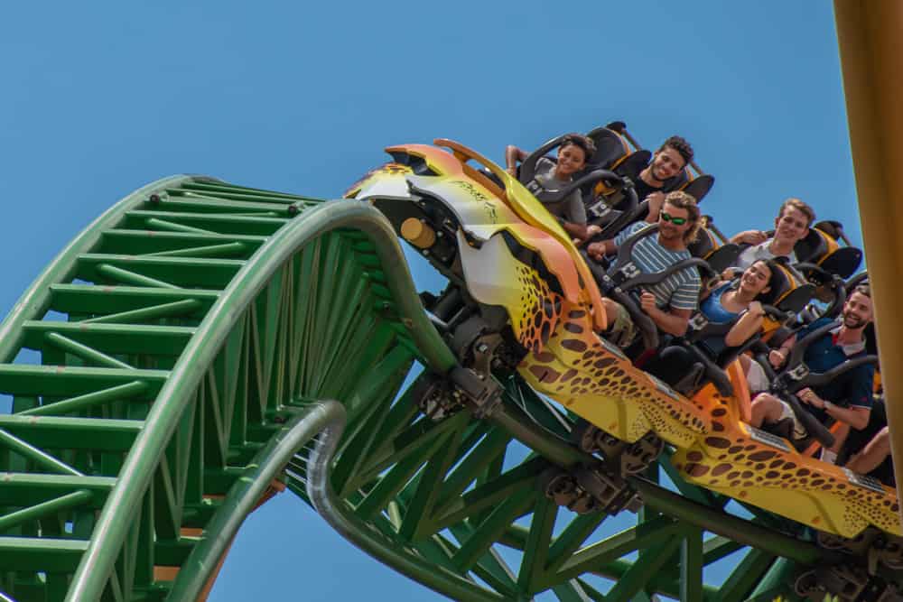 Busch Gradens is a perfect combo of thrill rides and zoo displays for animals. 