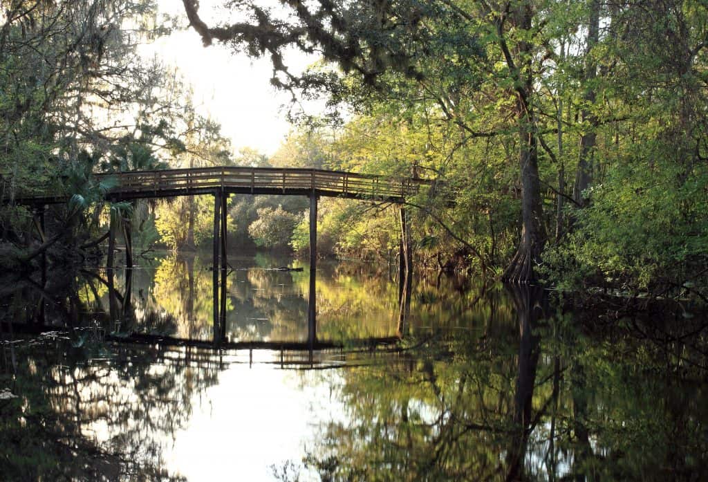 The HIllsborough River State Park, a perfect place to find alligators in Florida.