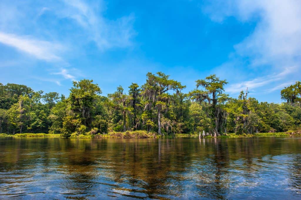 The calm, peaceful, alligator-filled waters of the Wakulla Springs State Park.