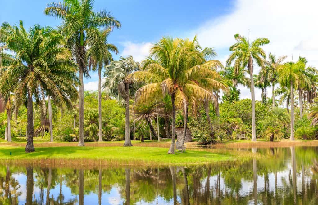 Palm trees reflect in the water at Fairchild Tropical Botanic Garden, a must-visit destination in Florida in fall.