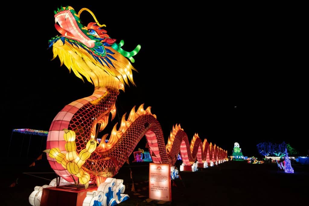 The 300-foot long dragon, completely made of lanterns, stands tall at the Lantern Light Festival in Florida.