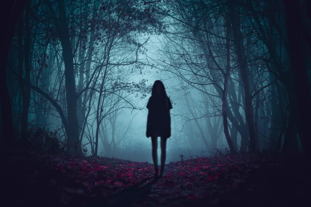 Creepy photo of girl alone in a forest. 