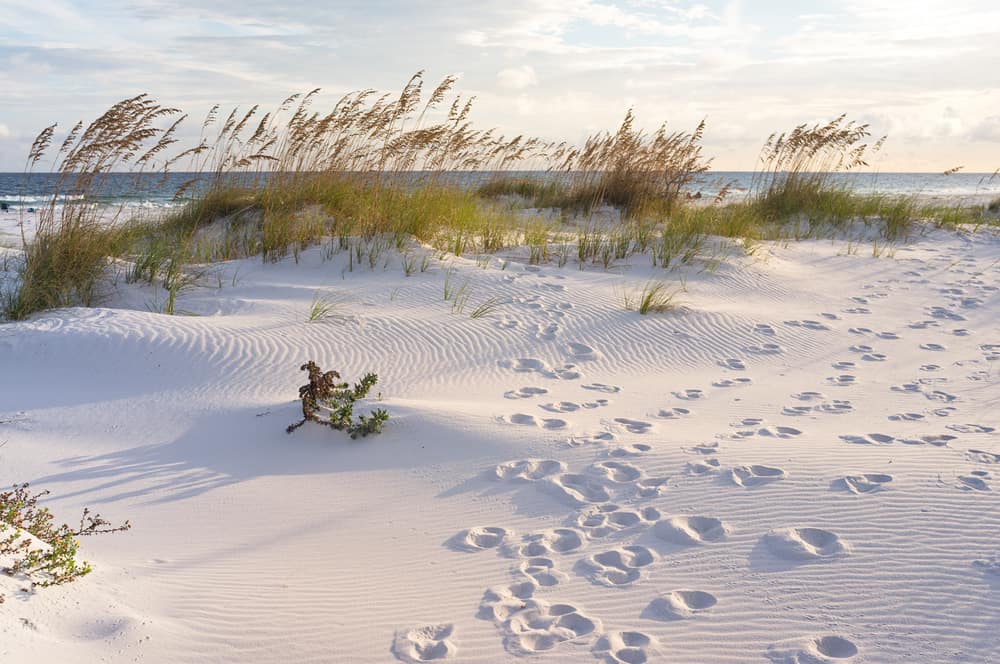 Photo of footprints in the fluffy, white sugar sand at Gulf Islands National Seashore, one of the National Parks in Florida 
