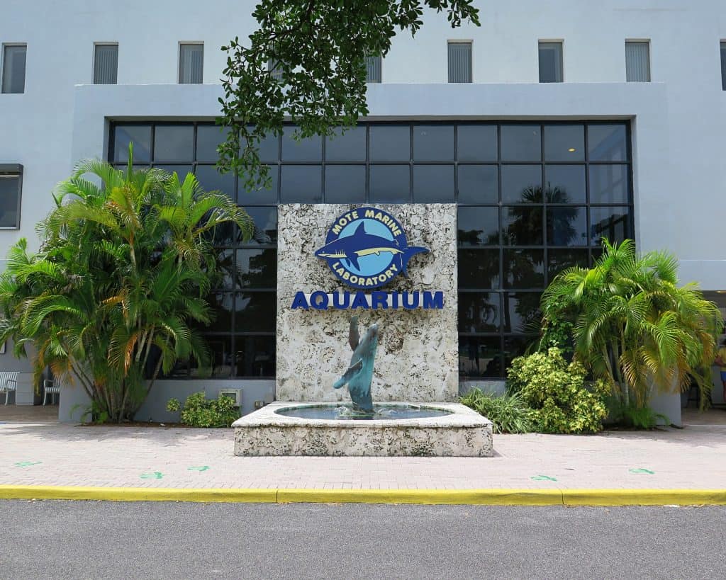 The exterior of the Mote Marine Laboratory & Aquarium, one of the best things to do in Sarasota.
