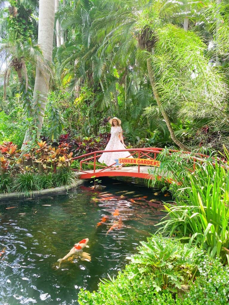 A woman in a sunhat stands on a bridge overlooking a beautiful fishpond, surrounded by tropical plants at the Sunken Gardens, one of the best things to do in St. Petersburg Florida.