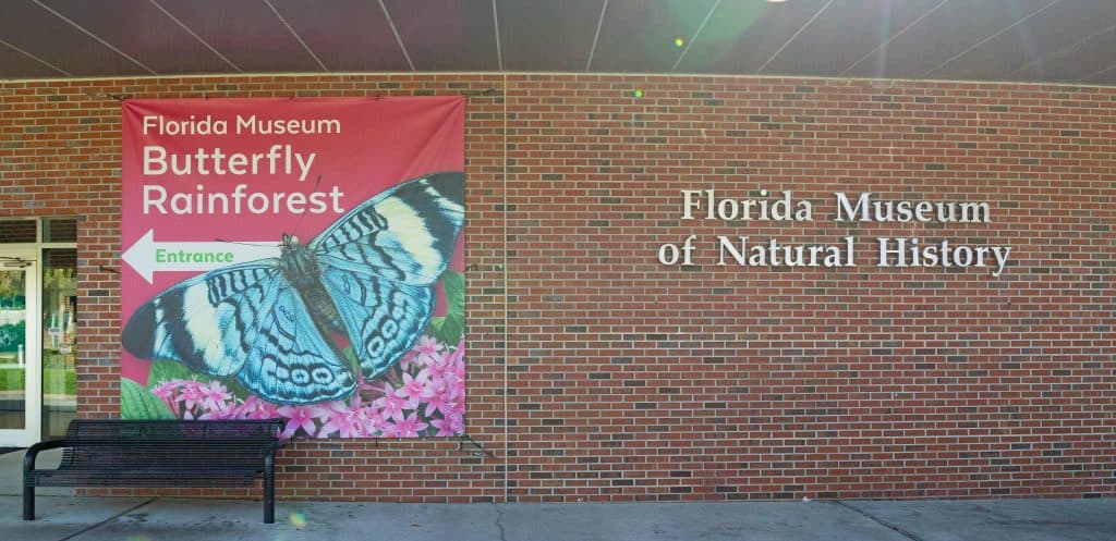 The exterior of the Florida Museum of Natural History at the University of Florida in Gainesville. 