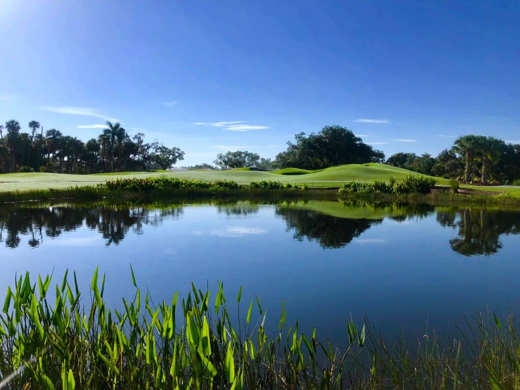 The Old Orange course at the Verandah Golf Club, its greens surrounded by beautiful lakes with aquatic plants.
