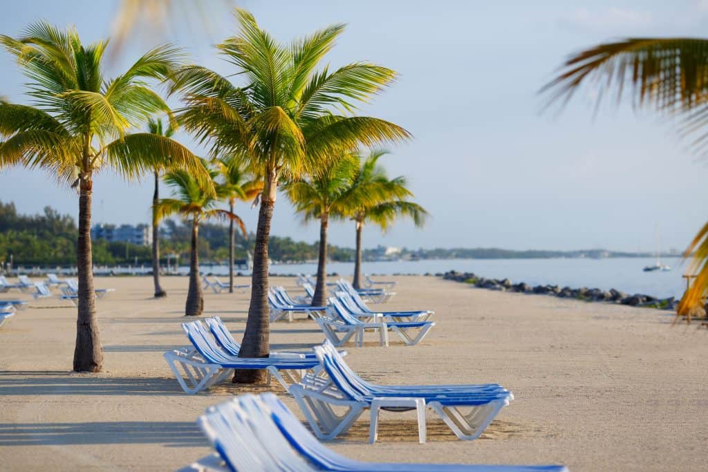 Photo of palm trees and blue lounge chairs on a beach in Key West, one of the best romantic getaways in Florida.