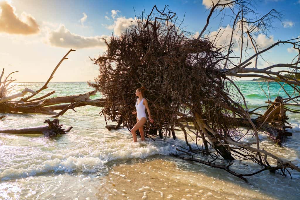 leaning against giant driftwood at beer can island in Florida
