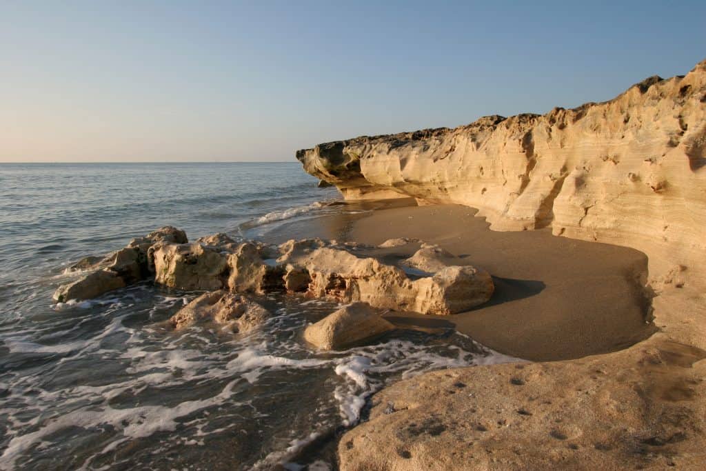 The Anastasia limestone creates a picturesque landscape on Jupiter Island on the Dune Trail, one of the best trails for hiking in Florida. 