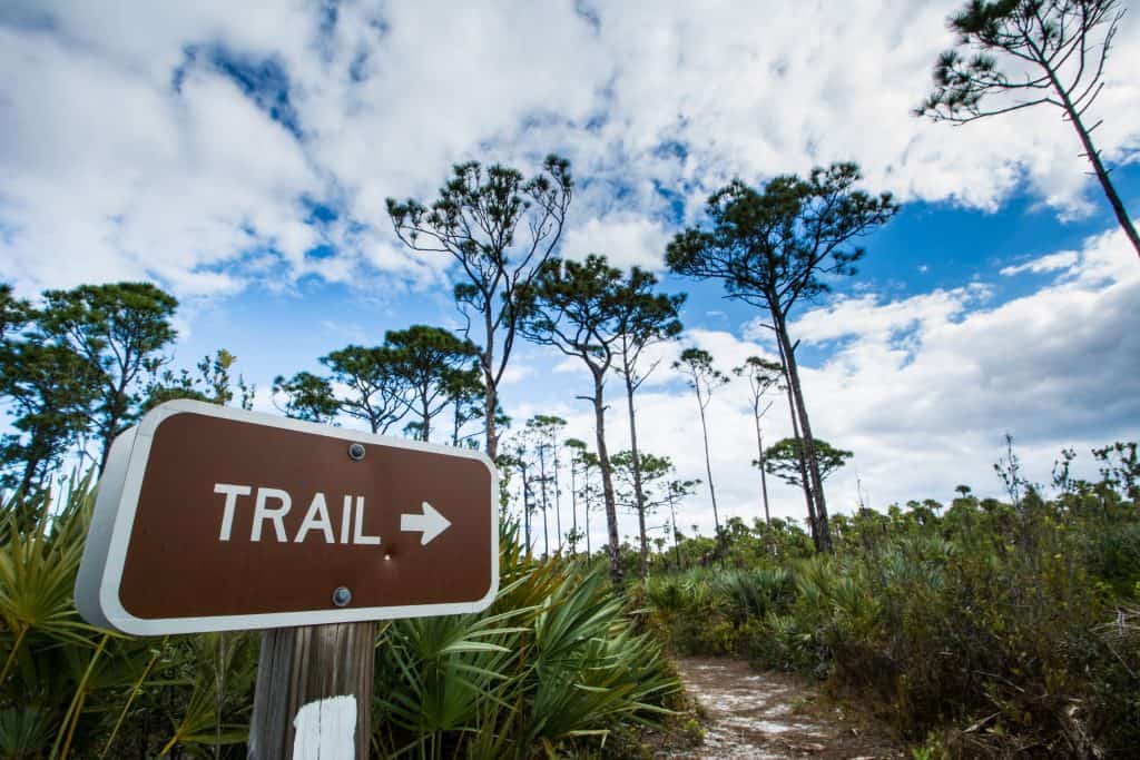 A sign points hikers towards their next adventure, exploring the best hiking in Florida!