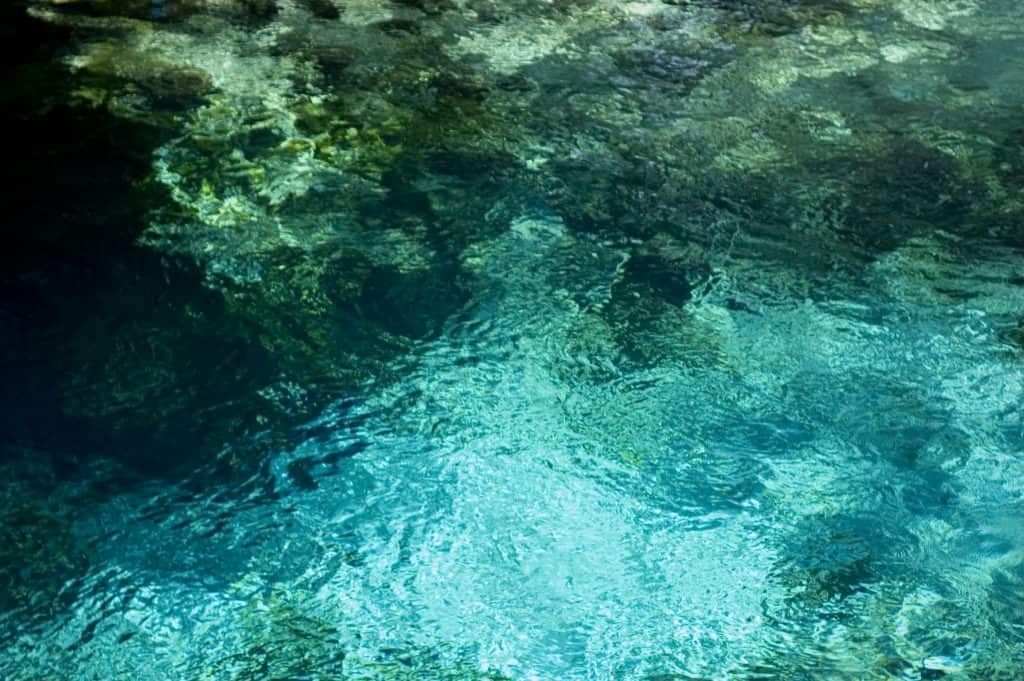 The crystalline waters of Fanning Springs glitter at the boil.