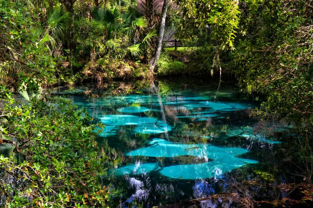 The surface of Juniper Springs, always ever changing, as seen through its clearest of blue waters, one of the best Florida springs with camping. 