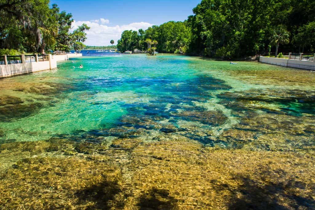 The clear waters of Salt Springs reveal the rocky bottom of the spring bed, one of the best Florida springs with camping.