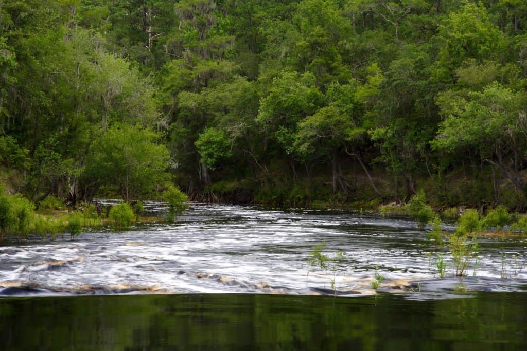 The river rapids of the Suwannee River, perfect for expert kayaking in Florida. 