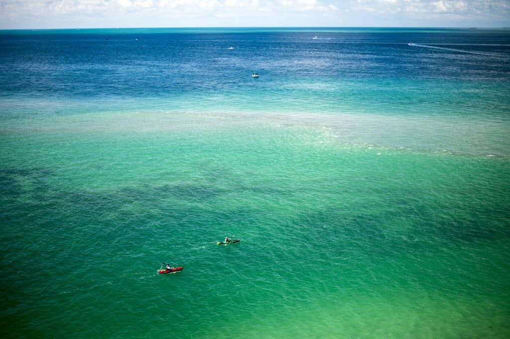 Two kayakers paddle though the emerald green waters of Biscayne Bay, perfect for kayaking in Miami.
