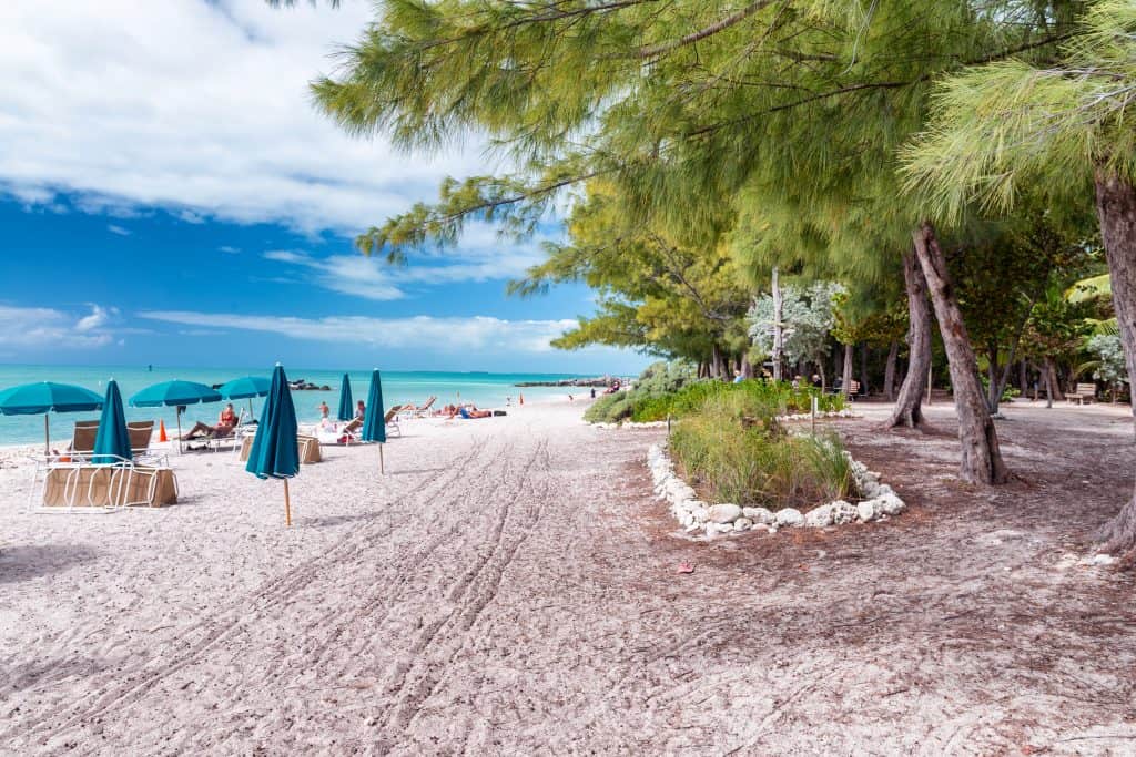 Trees fade into sand, where umbrellas and beach chairs are perched near the ocean at Fort Zachary State Park, one of the best natural beaches in Key West.