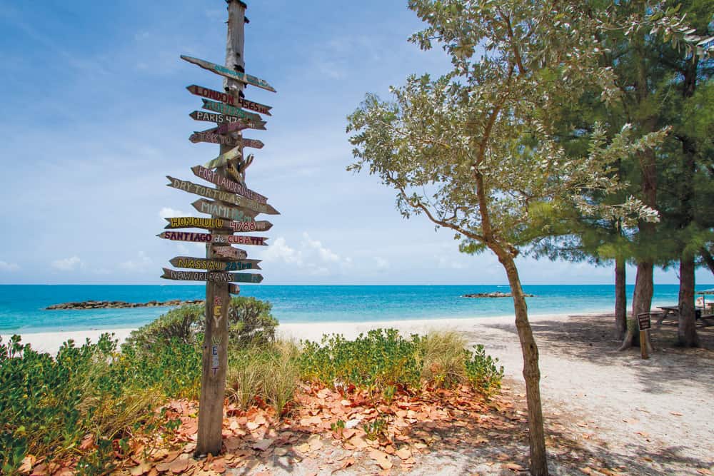 Foliage stands on the edge of one of the beautiful beaches in Key West, with a wooden street sign with different cities painted on it.