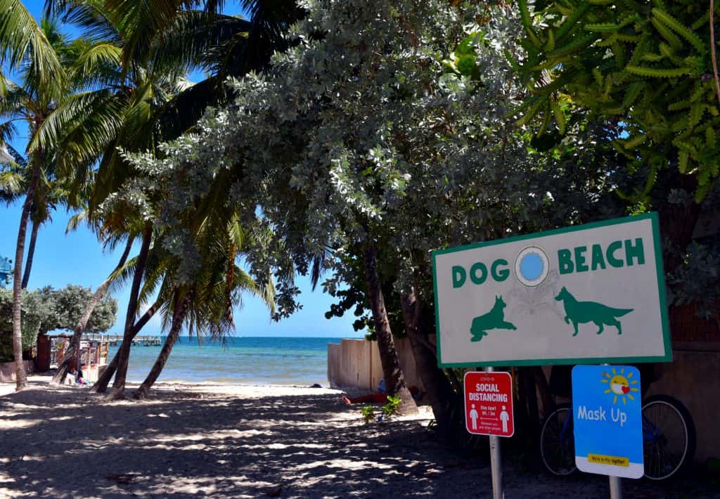 A sign with illustrations of dogs at Dog Beach, with the ocean in the background; it's one of the only beaches in Key West that allows dogs.