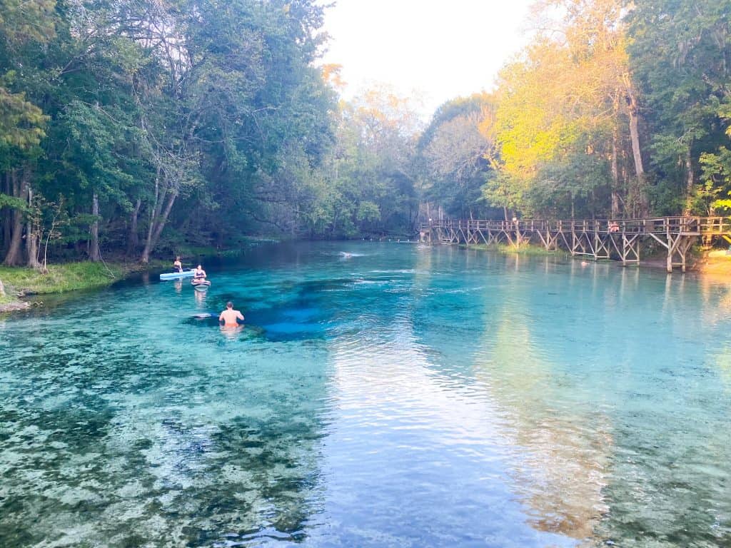 The clear blue waters of Gilchrist Blue Springs cool off swimmers and canoe paddlers. 