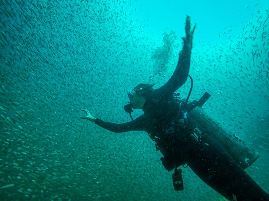 A diver in Panama City Beach is surrounded by a school of tiny fish!