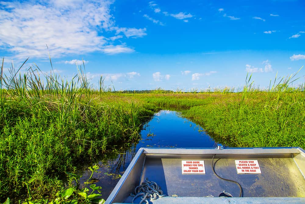 Taking a private airboat tour shows you parts of Everglades National Park that the bigger boats can't get to.