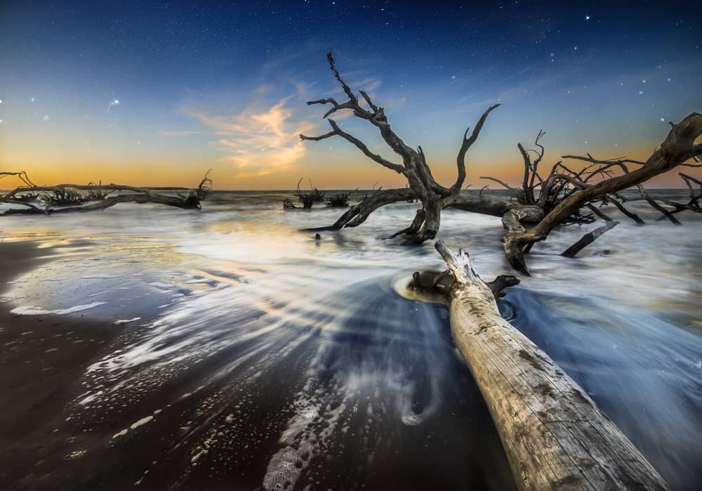 The sun sets, casting shadows over the sun-bleached trees on the shores of Big Talbot Island.