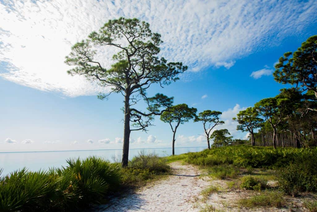 A scenic trail in Florida peers over the water while the sky holds clouds stretched like cotton.
