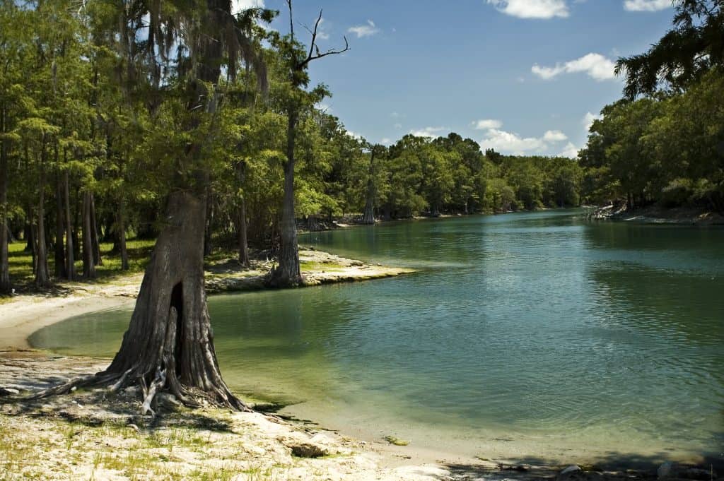 The shoreline of the Santa Fe River, one of the best places to see stars in Florida.