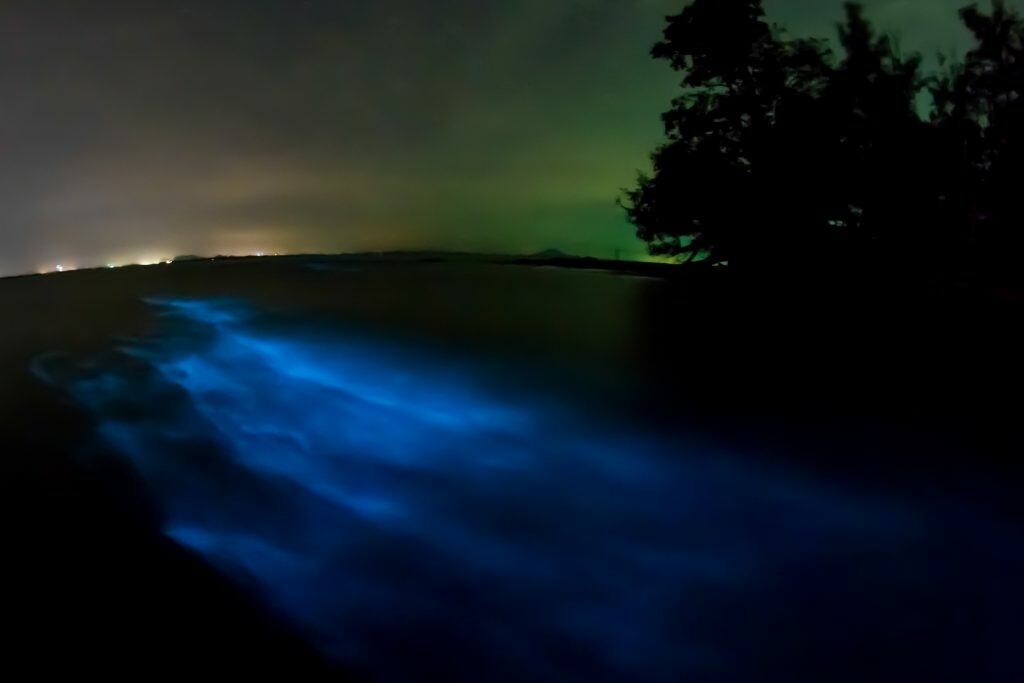 Bioluminescence lights up the waters on an evening kayaking trip, one of the best things to do in Melbourne, Florida.