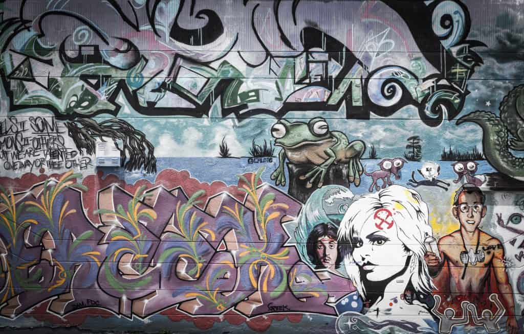 A beautiful mural at the Wynwood Walls features graffiti style images of a woman and a frog.