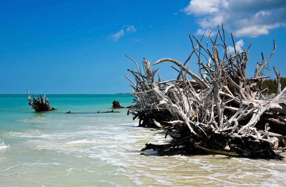 Beer can island one of the best florida beaches for couples.