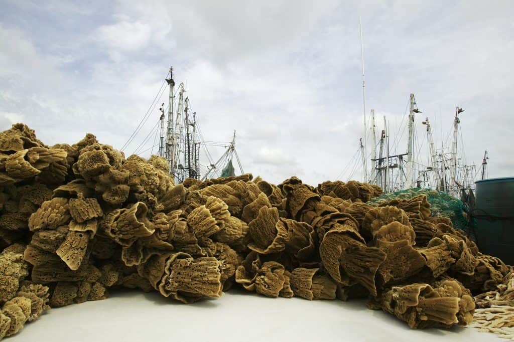 Bunches of sea sponges are piled on the shores of Tarpon Springs, one of the best small towns in Florida.