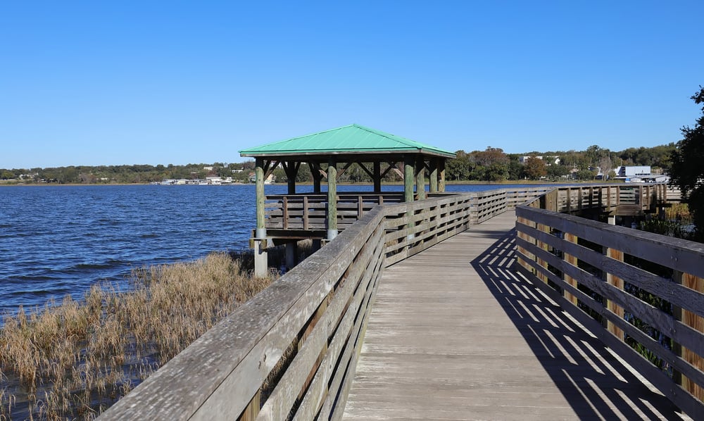 Head to Palm Island Park and take a walk on the wooden boardwalk just 15 minutes from downtown