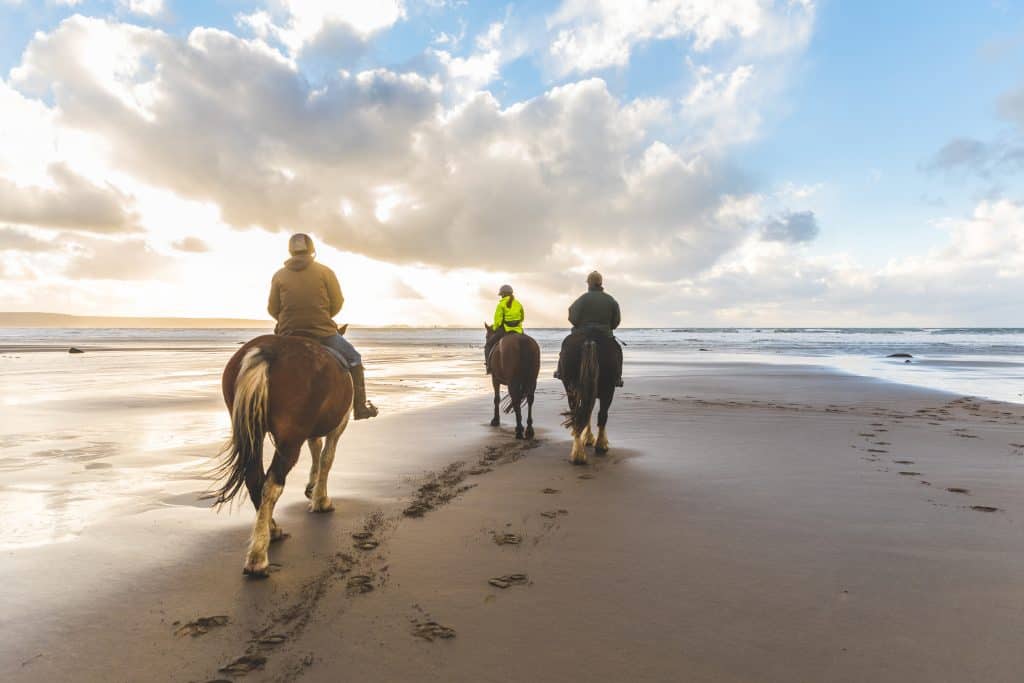 Riders take their horses along the beaches of Bradenton.
