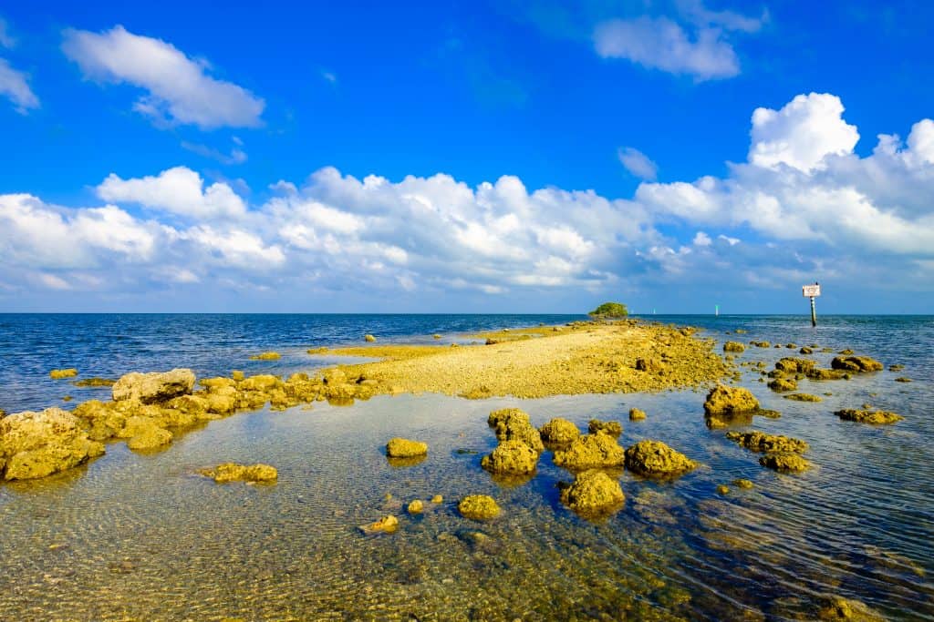 A rocky formation at Biscayne Bay.