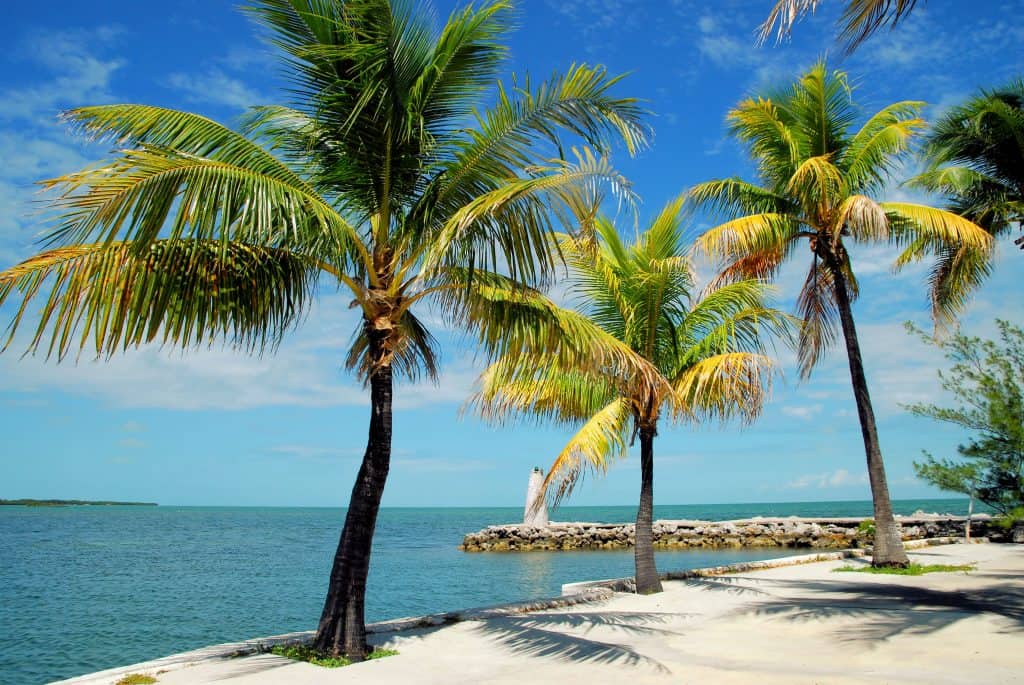 The beaches and palm trees of Marathon Key, one of the prettiest of the Florida Keys.