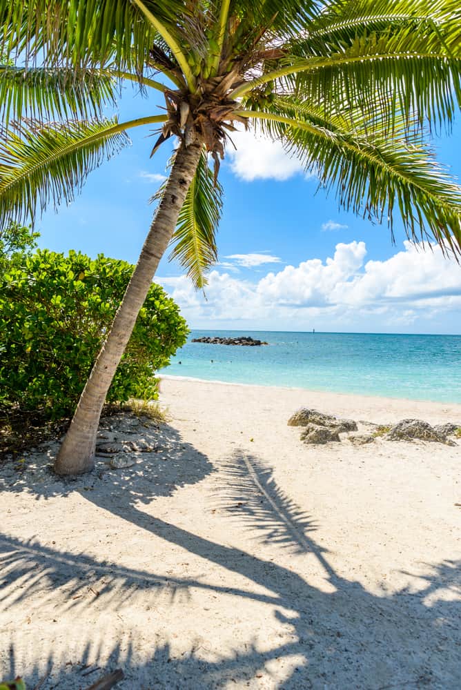 The white coral sand beach at Fort Zachery Park in Key West with a palm tree and shadow overlooking the rocks off the coast
