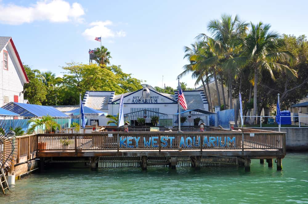 An outside view of the boardwalk and the Key West Aquarium, one of the best aquariums in Florida.