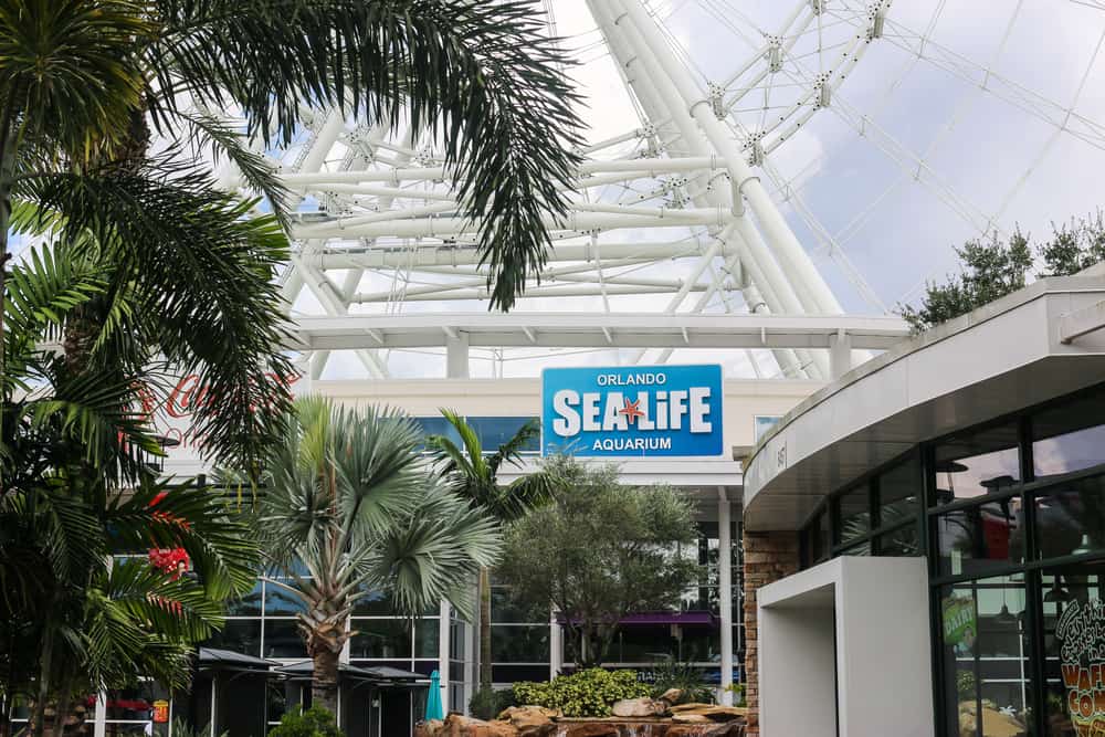 Outside view of the Sea Life Orlando Aquarium with palm trees standing in front.