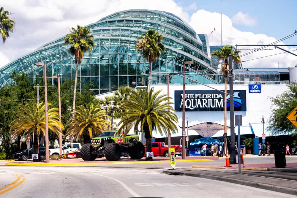 External view of the Florida Aquarium building with palm trees in front, one of the best aquariums in Florida