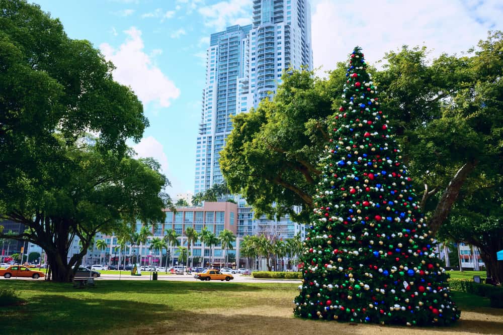 Christmas Tree in Bay Side Miami