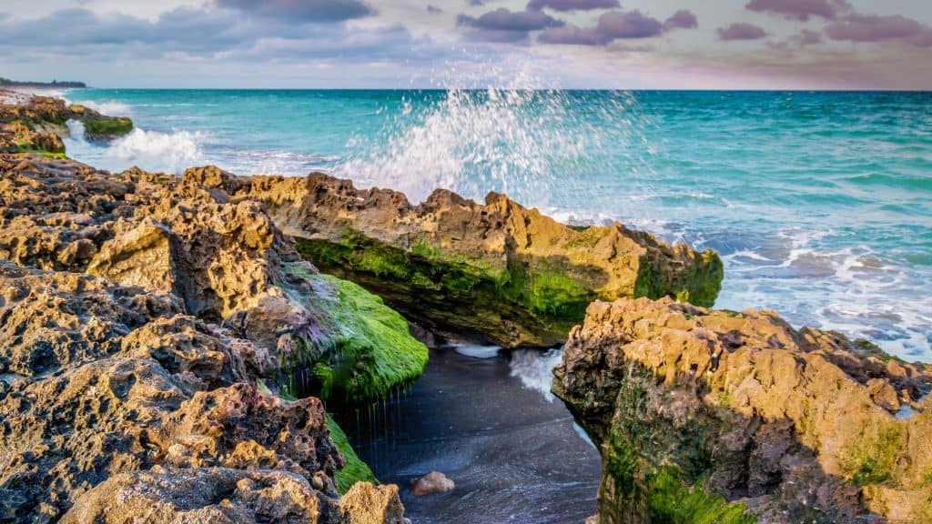 The waves crash up against the limestone formations of Blowing Rocks, one of the best things to do in Jupiter