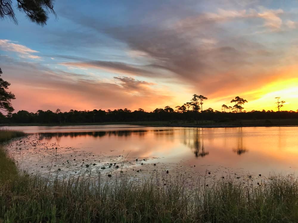 Sunrise over the calm waters of Western Lake in Grayton Beach State Park.