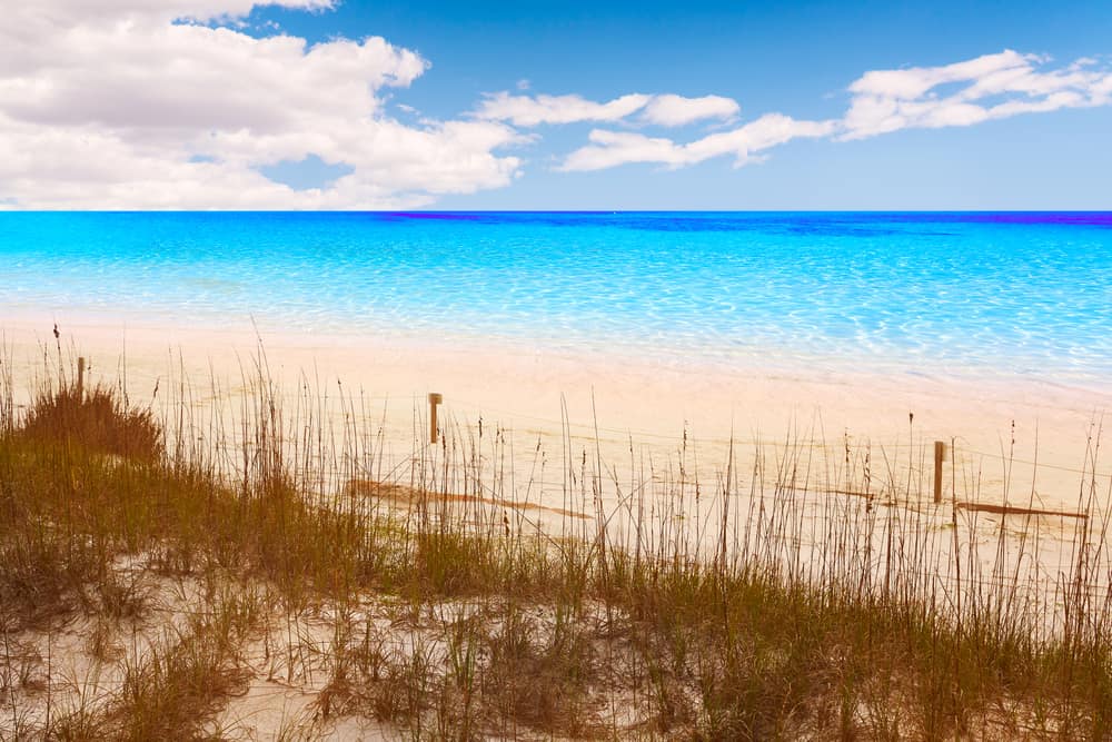 The beautiful blue water of Destin Beach with grass in the foreground