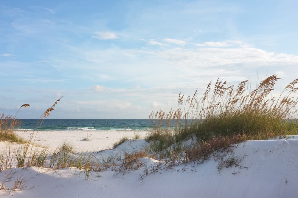 Overlooking sand dunes with sea oats and the ocean in the background.