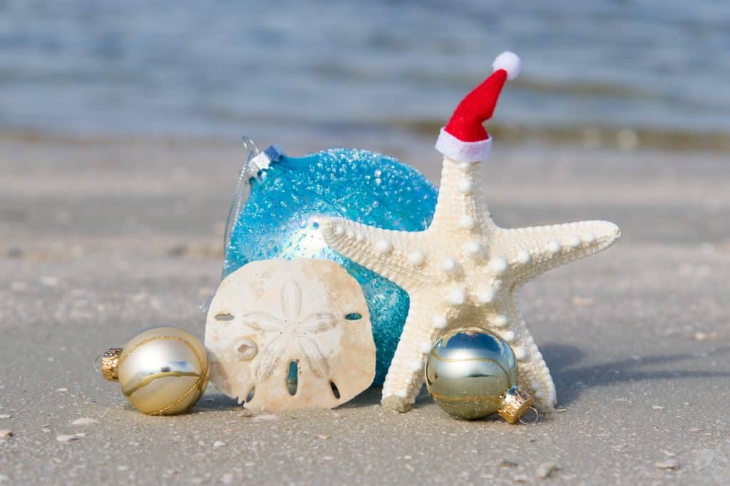 starfish, sand dollar, and ornaments on the beach for a florida christmas