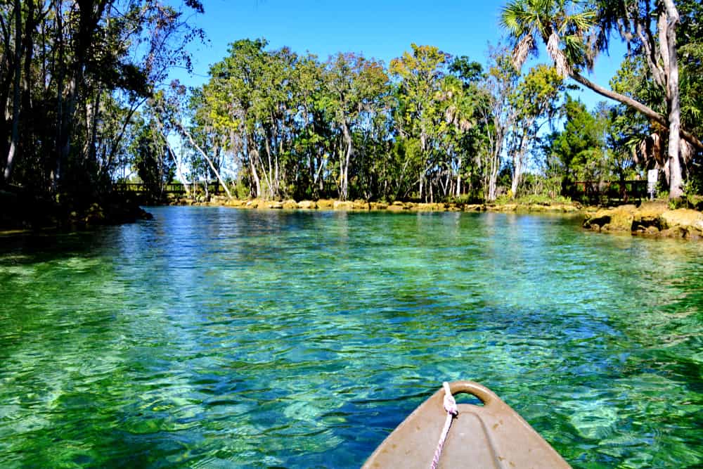 Photo of the end of a kayak floating on Crystal River in Florida. 