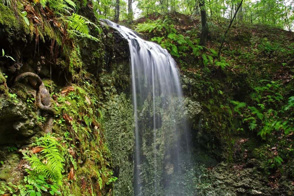  florida falling waters park waterfall is a small waterfalll in the state park surrounded by trees